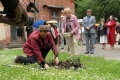25.05.2013.
