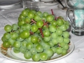IMG_1603.jpg
