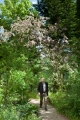 Foto: Kristaps Sietiņš. 28.05.2017.